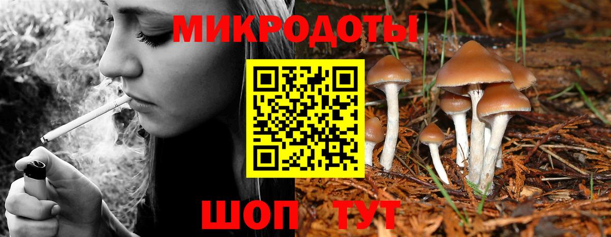 Псилоцибиновые грибы GOLDEN TEACHER  Псилоцибиновые грибы GOLDEN TEACHER  магазин продажи наркотиков  Вход с VPN  Артёмовский 