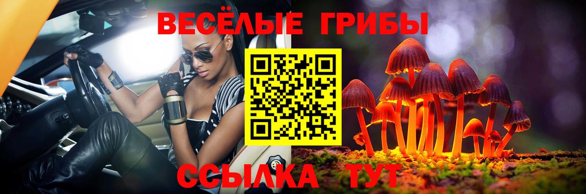 Галлюциногенные грибы Psilocybe Артёмовский